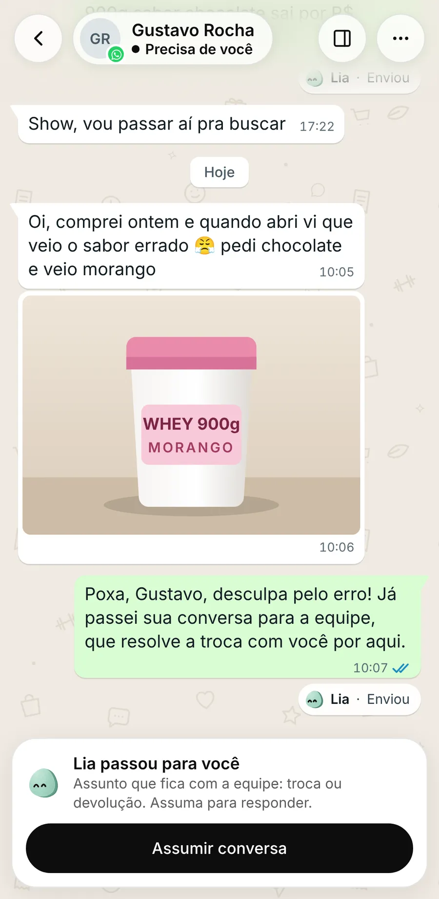 Conversa que a Lia passou para a equipe, com o histórico do cliente e o botão para a equipe assumir e responder